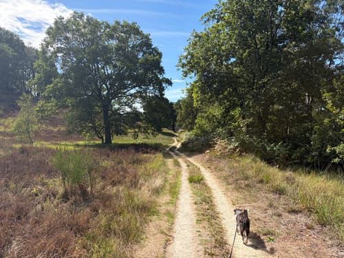 Wandelroute Paarse Pracht