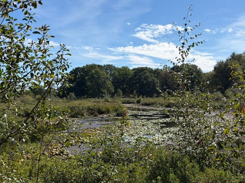 Wandelroute Paarse Pracht
