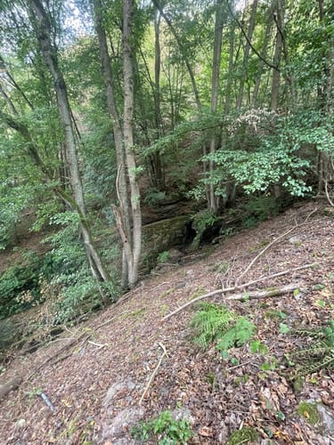 St.Goar Höhenweg Variante