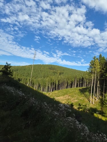 Rundweg Altastenberg, Renautalweg, As1