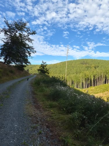 Rundweg Altastenberg, Renautalweg, As1