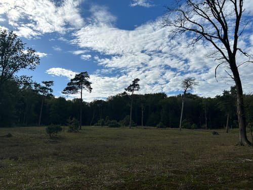 Springendal Groene Wandelroute Bronnenroute