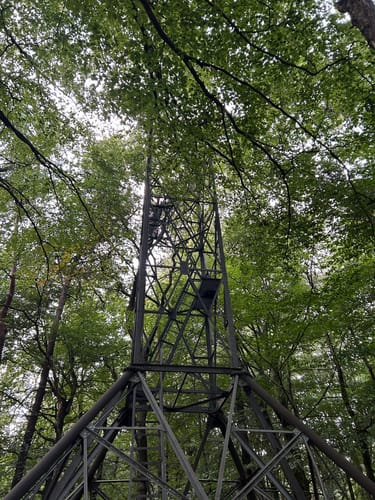 Springendal Groene Wandelroute Bronnenroute