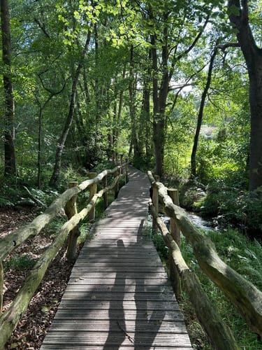 Springendal Groene Wandelroute Bronnenroute