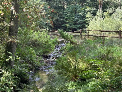 Springendal Groene Wandelroute Bronnenroute