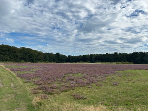 Springendal Groene Wandelroute Bronnenroute