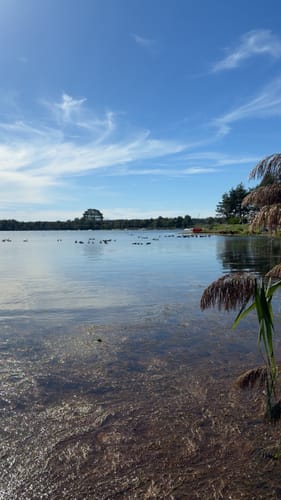 Steinberger See Rundweg