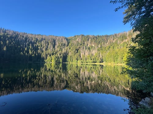Feldberg-Ort - Feldsee - Feldberg