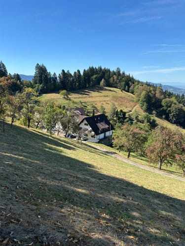 Lautenbacher Hexensteig