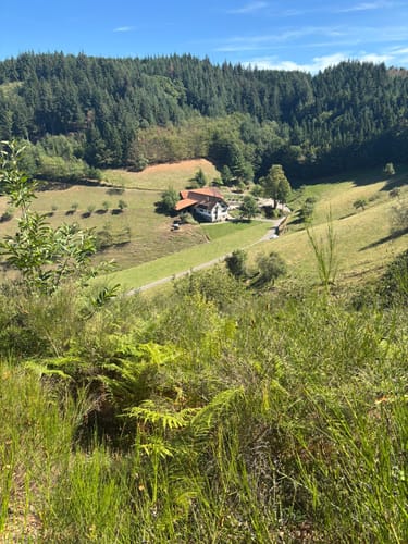 Lautenbacher Hexensteig