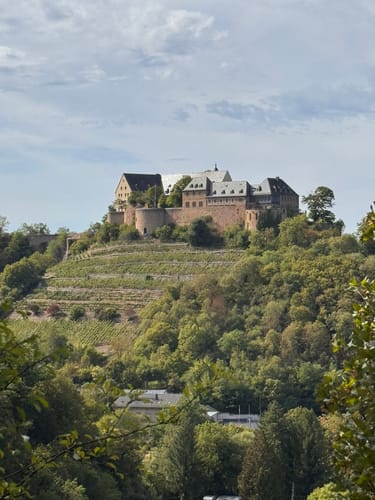 Rheingrafenstein (VitalTour)
