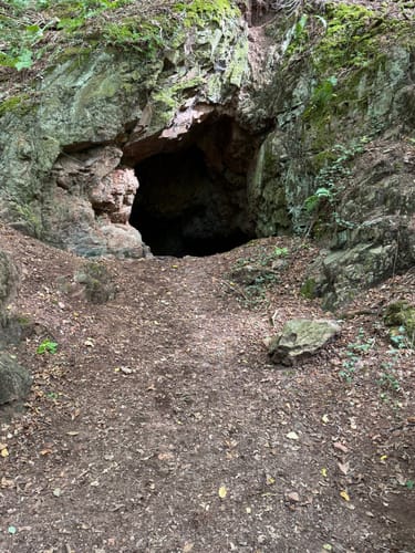 Rheingrafenstein (VitalTour)