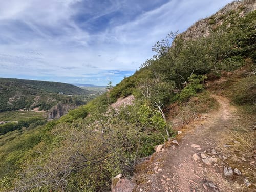 Rheingrafenstein (VitalTour)