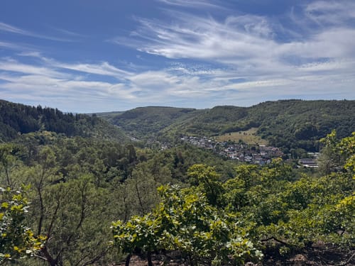 Rheingrafenstein (VitalTour)