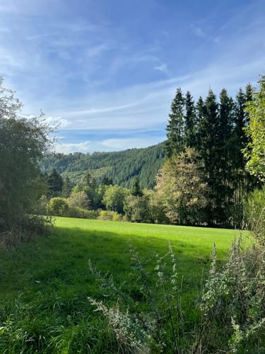 Monschau-Rurtal-Rundweg 35