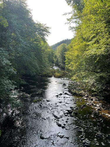 Monschau-Rurtal-Rundweg 35