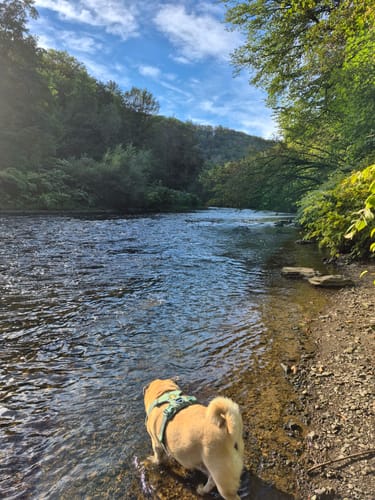 Müngsten: Links und rechts der Wupper