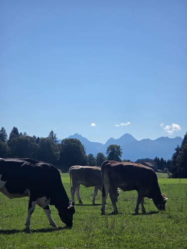 Lechsee Rundweg