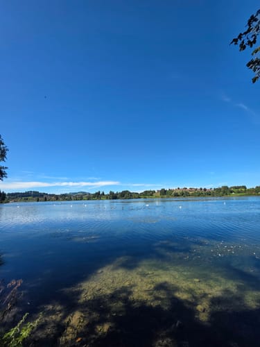 Lechsee Rundweg