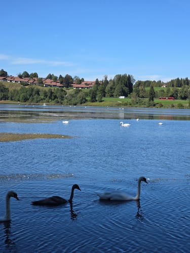 Lechsee Rundweg