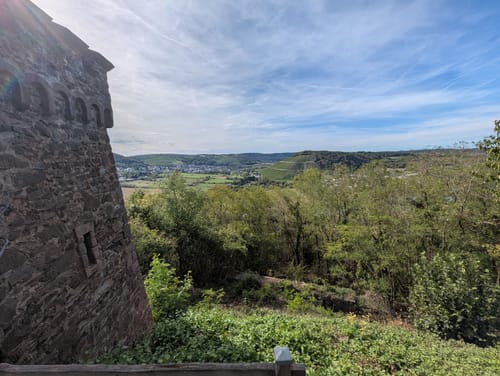 Saar-Riesling-Steig (Moselsteig Seitensprung)