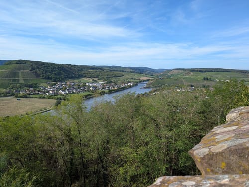 Saar-Riesling-Steig (Moselsteig Seitensprung)