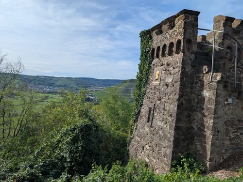Saar-Riesling-Steig (Moselsteig Seitensprung)