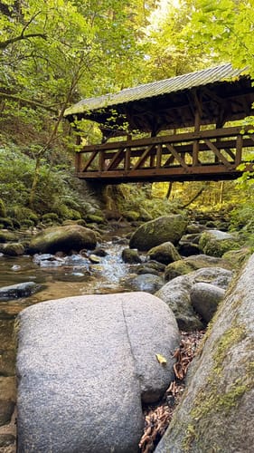 Geroldsauer Wasserfall- Eberkopf