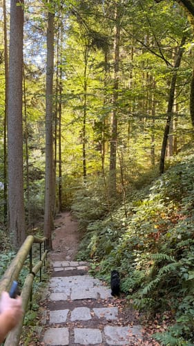 Geroldsauer Wasserfall- Eberkopf