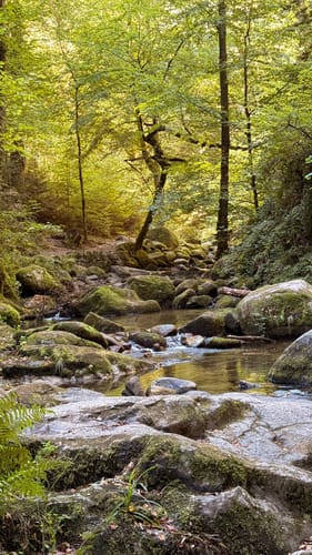 Geroldsauer Wasserfall- Eberkopf