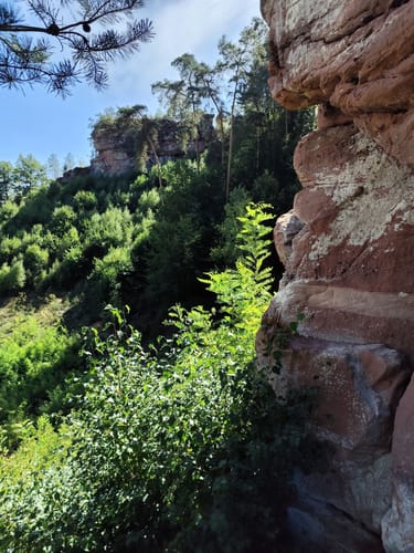 Dahner Felsenpfad (Premiumwanderweg)