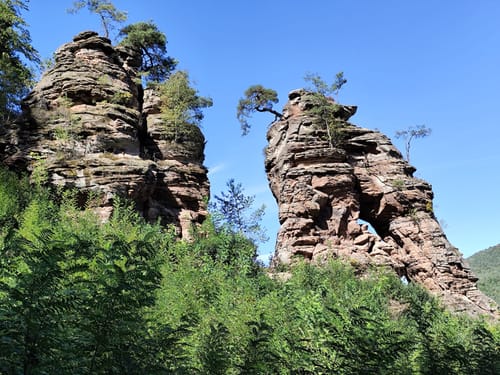 Dahner Felsenpfad (Premiumwanderweg)