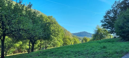 7 Burgentour - Pfälzer Wald/Nordvogesen