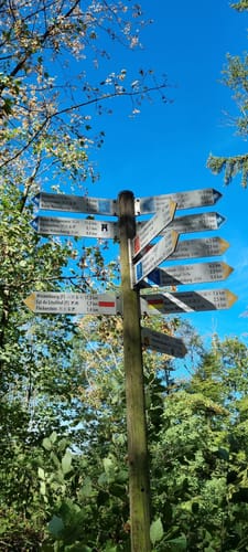 7 Burgentour - Pfälzer Wald/Nordvogesen