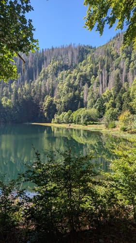 Feldsee Rundweg