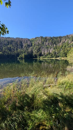 Feldsee Rundweg