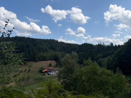 Renchtalsteig - Etappe 5: Allerheiligen - Burgruine Schauenburg