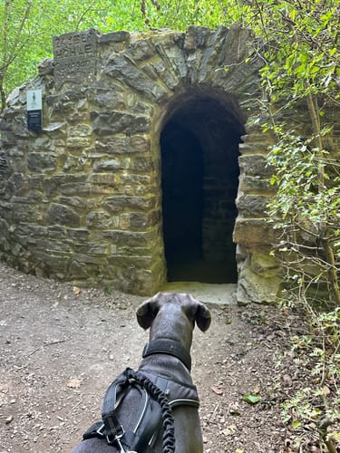 Assmannhausen und Niederwalddenkmal Rundweg