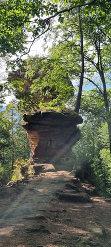 7 Burgentour - Pfälzer Wald/Nordvogesen