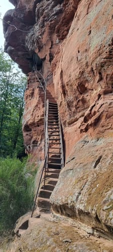 7 Burgentour - Pfälzer Wald/Nordvogesen