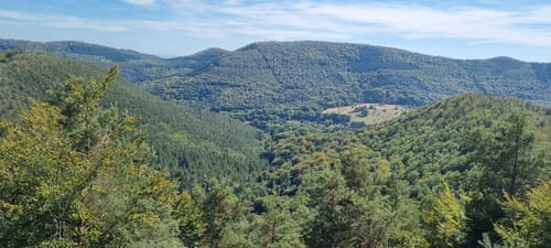 7 Burgentour - Pfälzer Wald/Nordvogesen