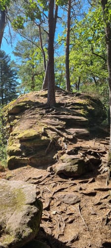 7 Burgentour - Pfälzer Wald/Nordvogesen