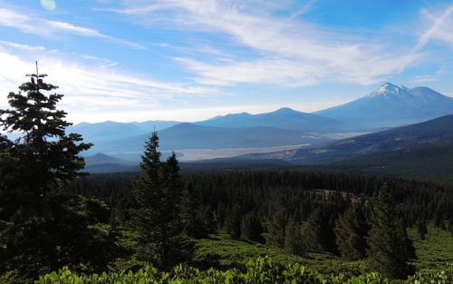 are dogs allowed at klamath national forest