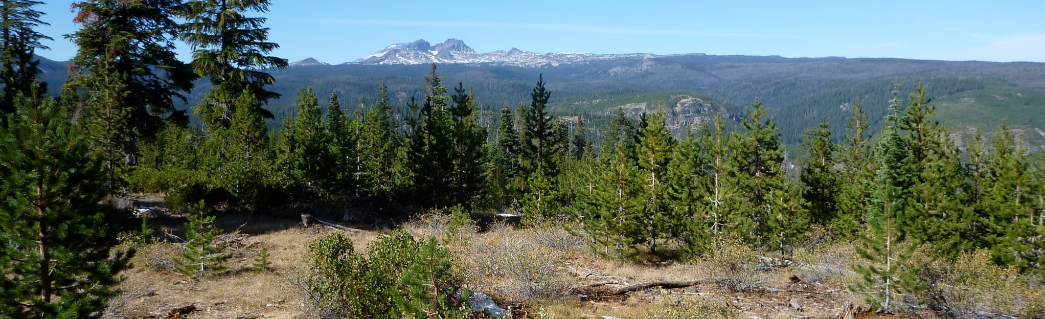 Mt. Bachelor to Bend Mountain Bike Ride, Oregon 13 Reviews, Map