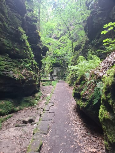 Rollstuhl-Tour "Zum Felsentor im Uttewalder Grund"