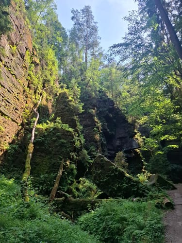 Rollstuhl-Tour "Zum Felsentor im Uttewalder Grund"