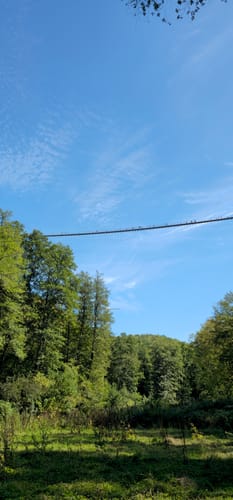 Geierlayschleife (Premiumwanderweg)