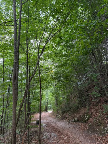 Burgruinen Eisenberg und Hohenfreyberg