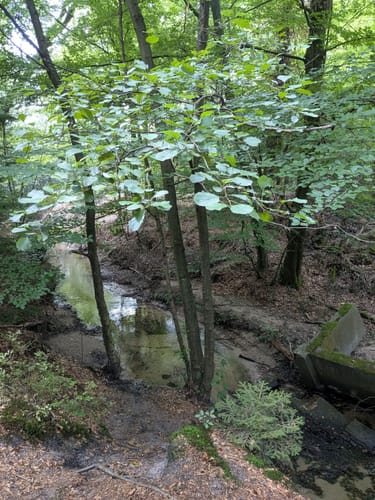 Rundwanderweg A9