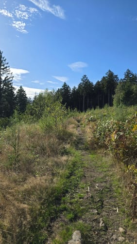 Hüggel Runde zum Silbersee